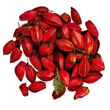 Berberine from Indian Barberry
