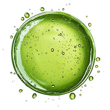 Gymnema Extract