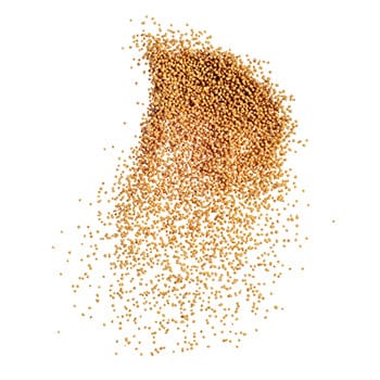 Selenium from Organic Mustard Seeds
