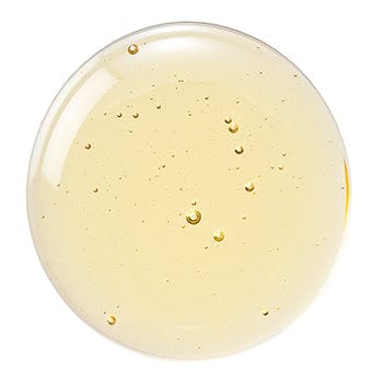 White Bean Kidney Extract