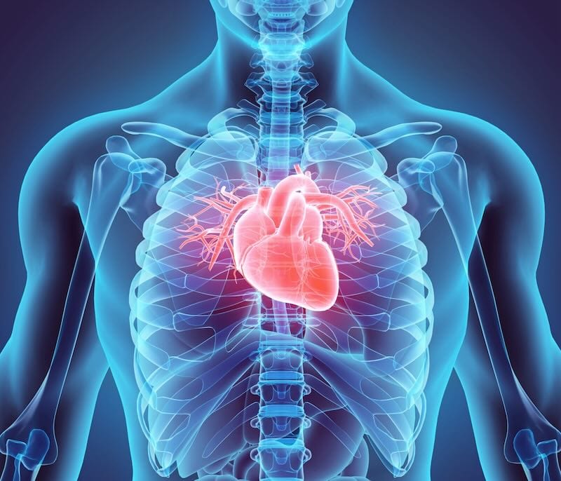 Unleashing Unknown Healing Potential: The Power of Systemic Enzyme Supplements