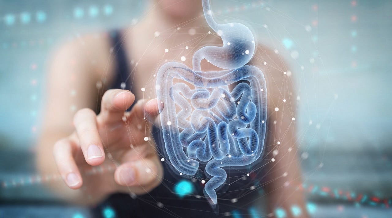 The Gut-Hormone Connection: Why Midlife Women Can't Ignore Their Microbiome