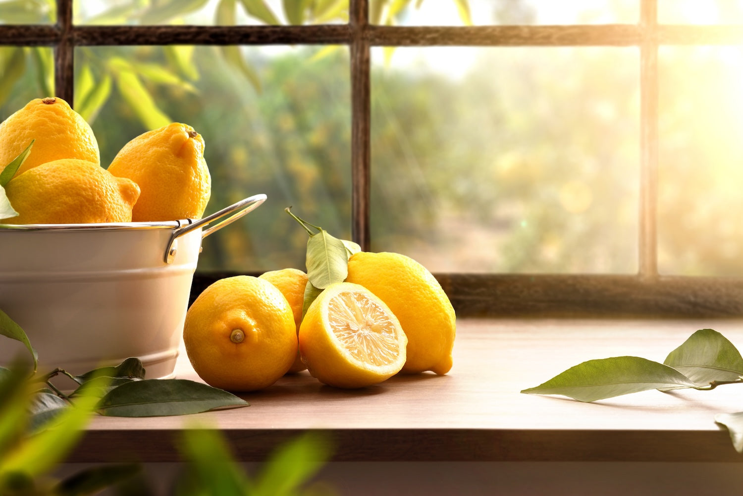 Folic Acid (Vitamin B9): An essential B Vitamin