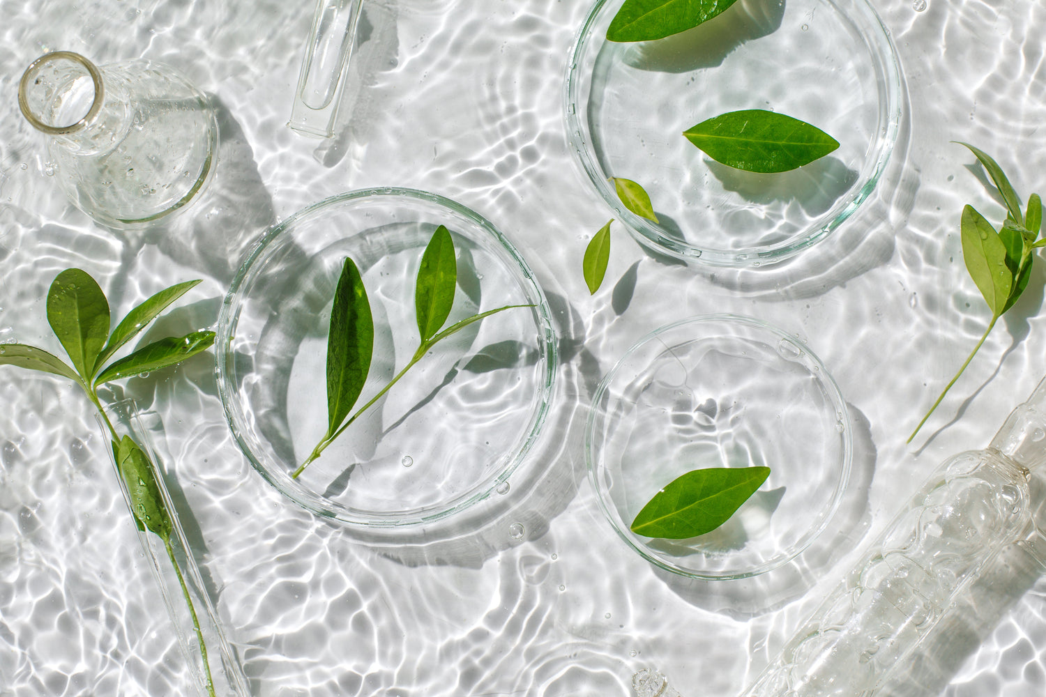 Unlocking the Secrets to Longevity: How We Age and How NAD+ Supplements Influence the Process