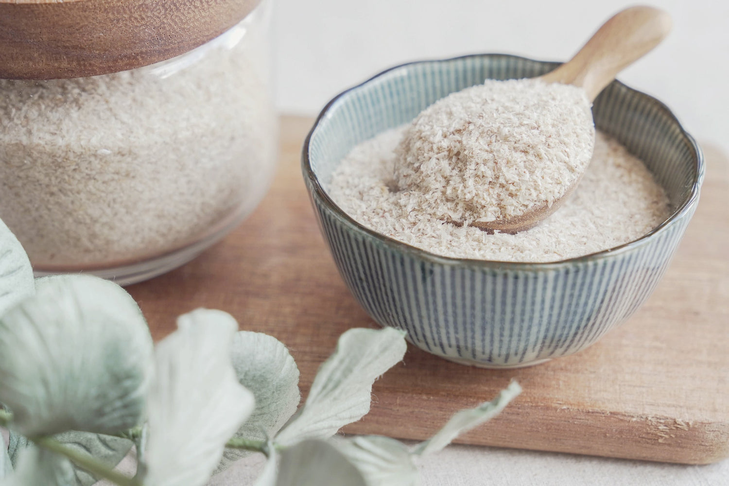Enhanced Nutrient Absorption with PreBioFiber™ - A Natural Scientific Innovation