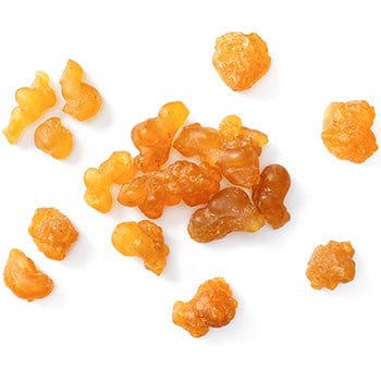 Boswellia Extract