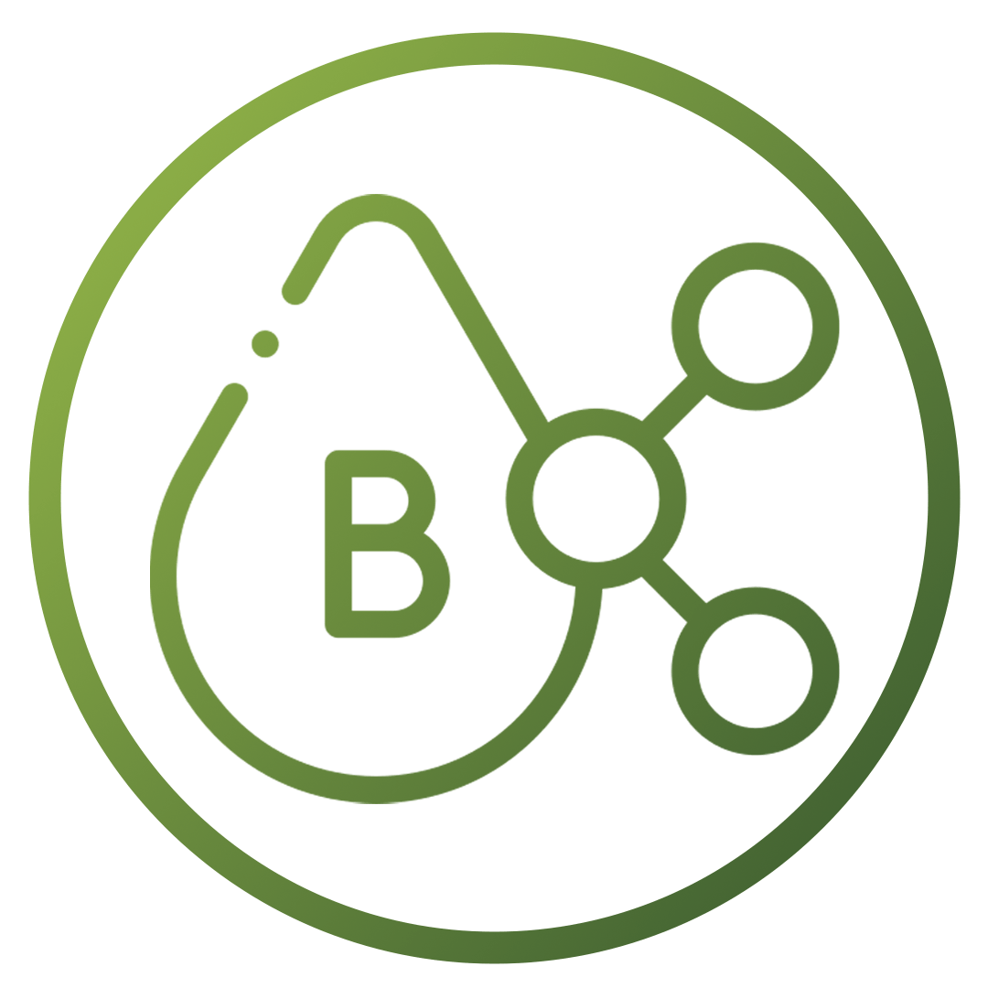  B Vitamins