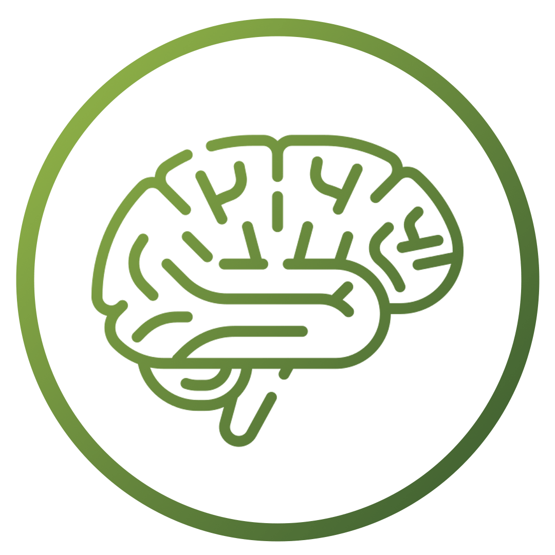 Brain | Health