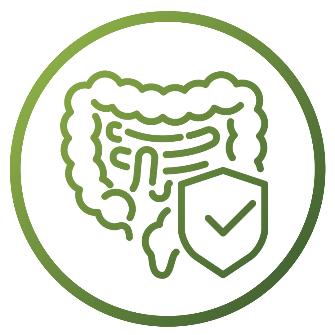 Gut-friendly | Absorption