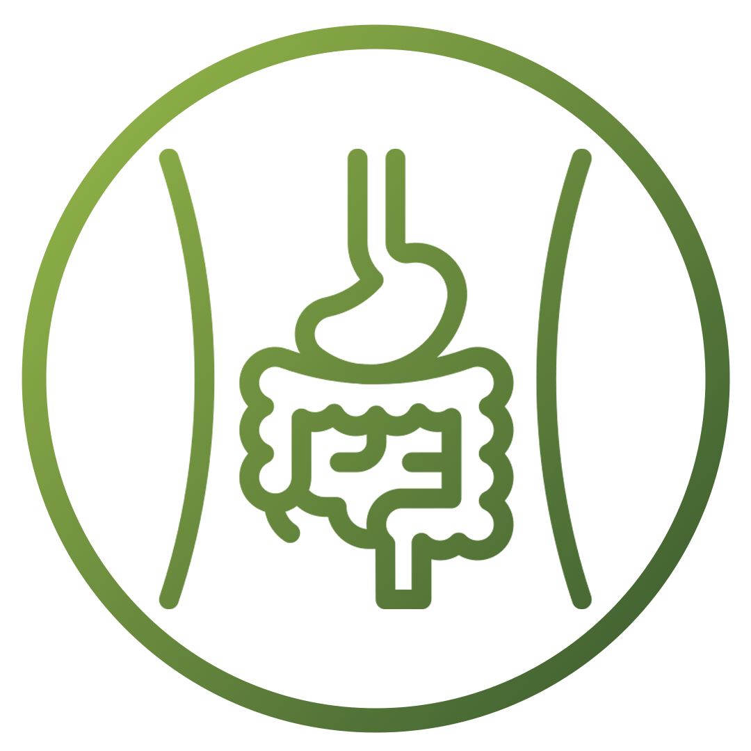 Gut | Health