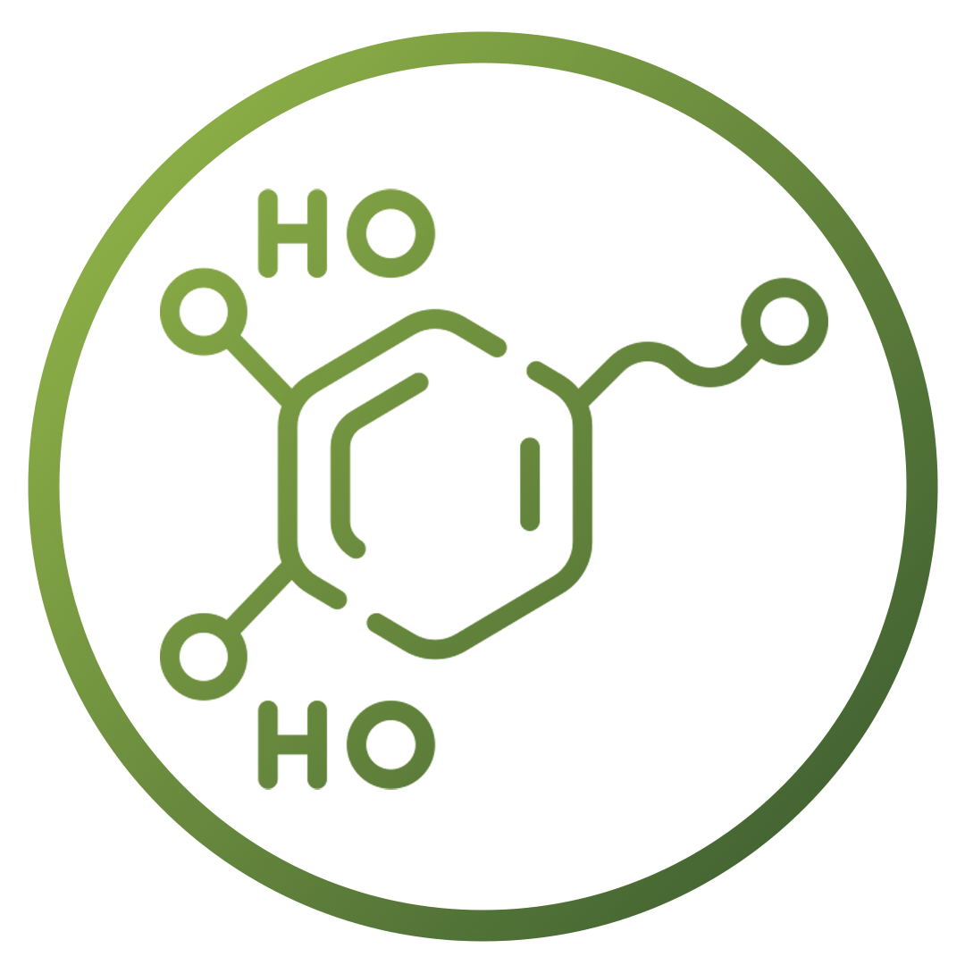 Histamine | Support