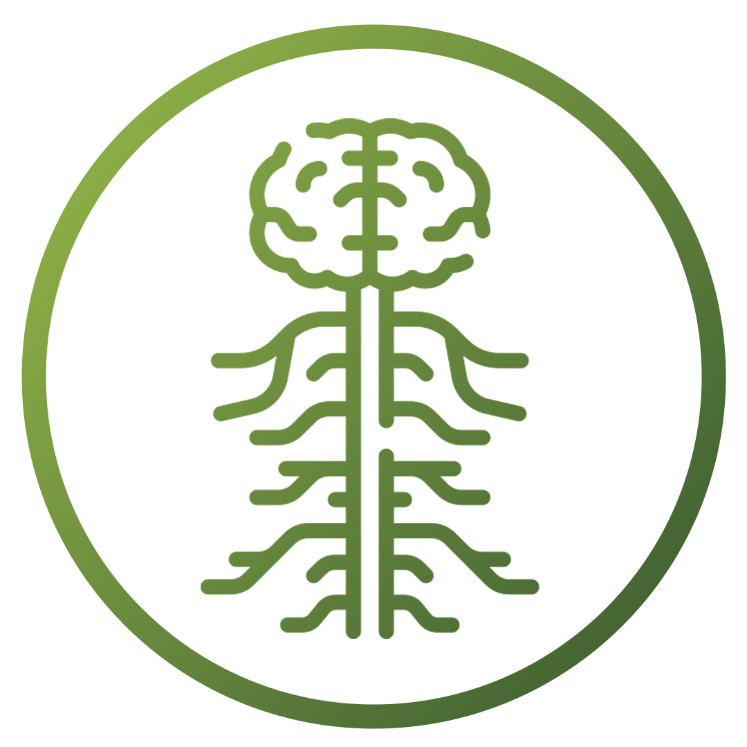 Nervous | System