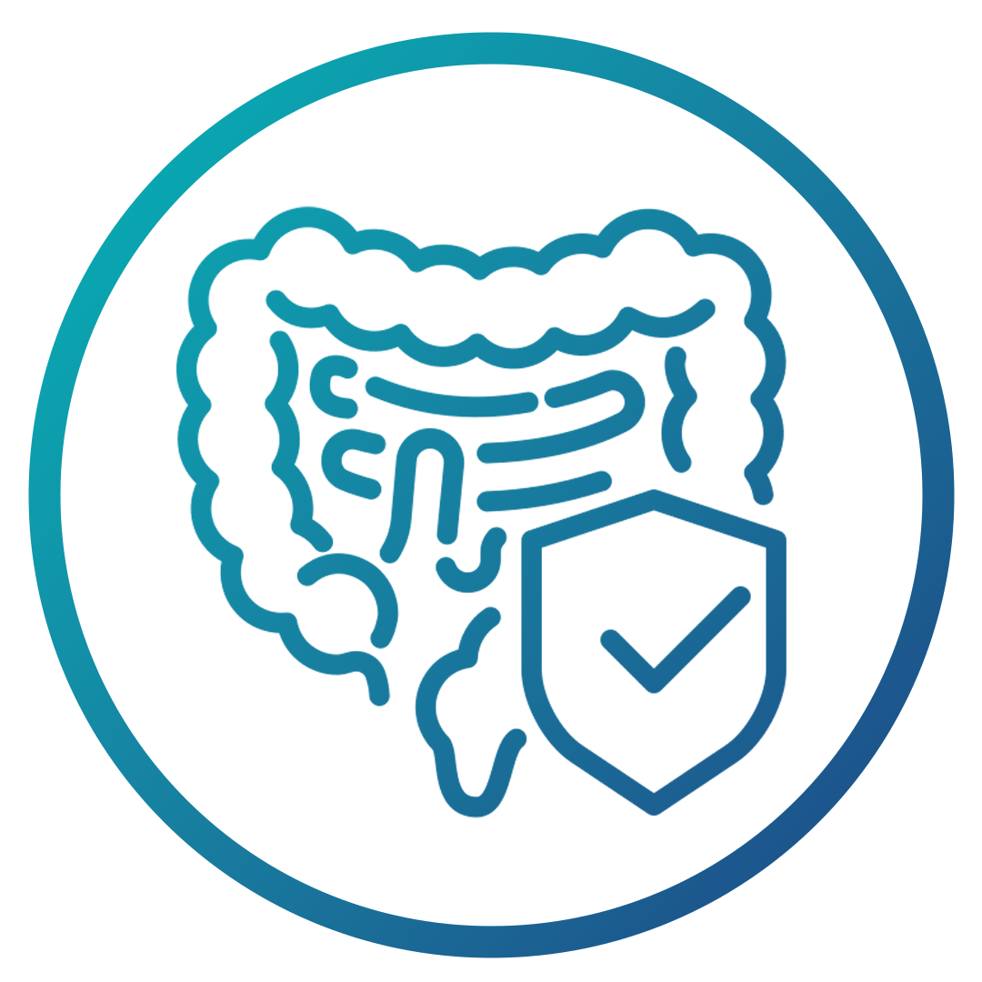 Gut-friendly | Absorption