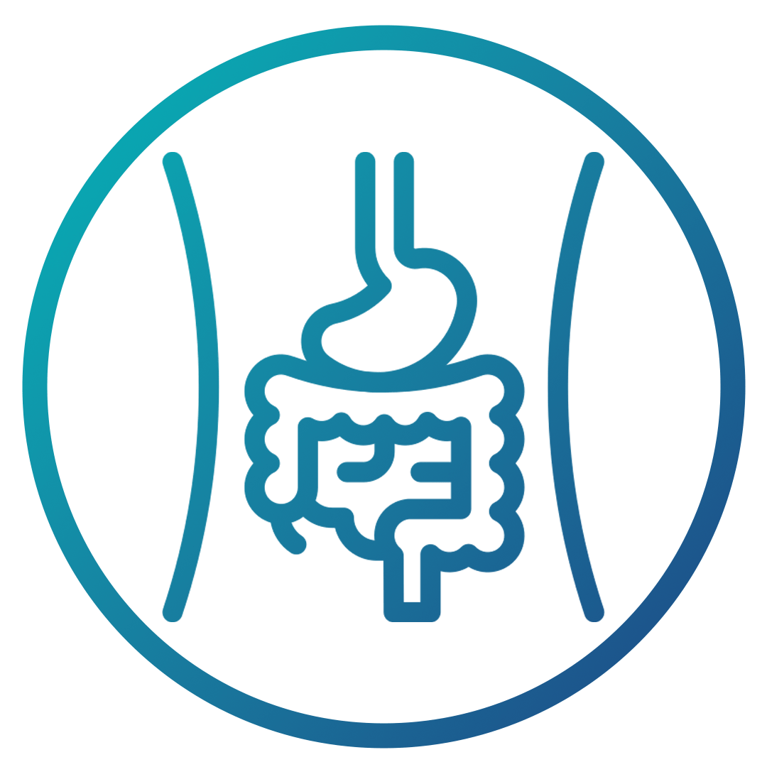 Gut | Health