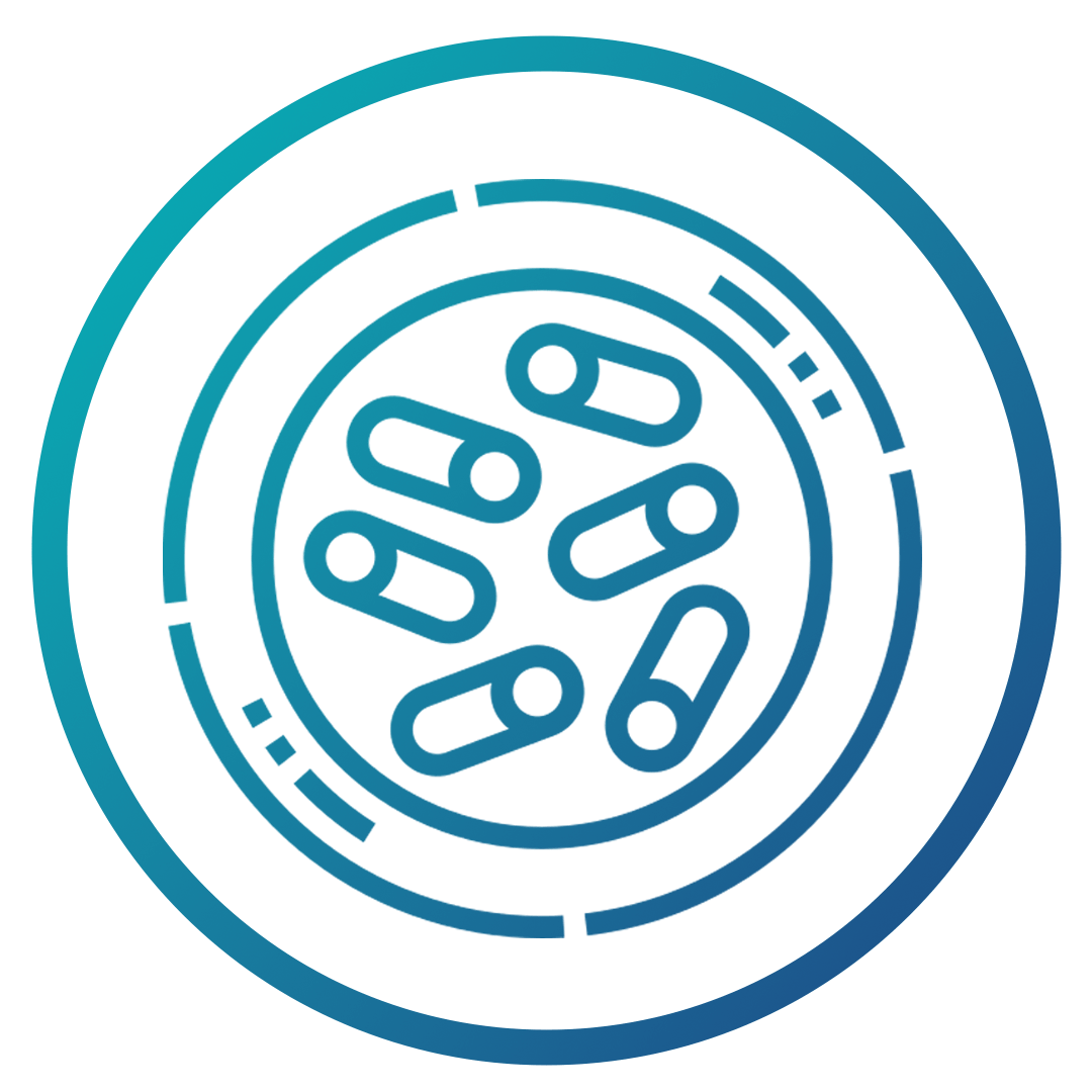 Prebiotic | Fibers